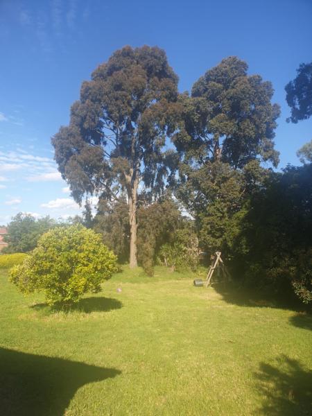 Country breeze, Book  Rowville Melbourne Region
