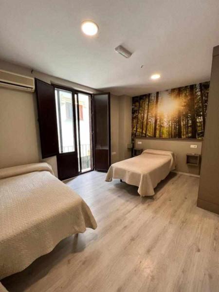 Hostal Viena Plaza Nueva, Buchen Sie  Stadtzentrum 