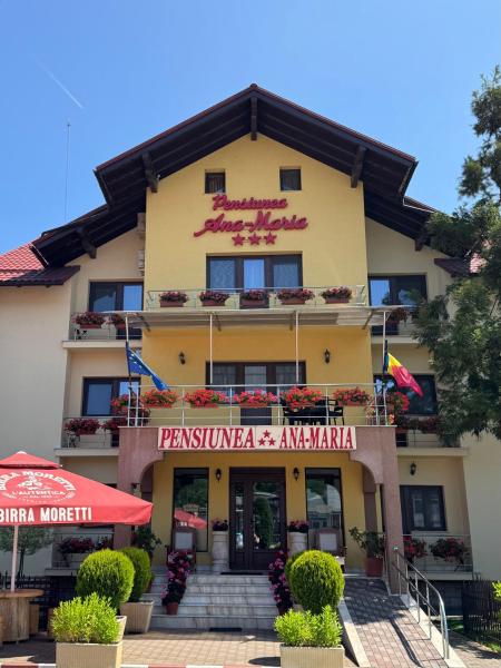 Pensiunea Ana Maria, Prenota Affittacamere Hotel a Hunedoara con parcheggio, Parcheggio