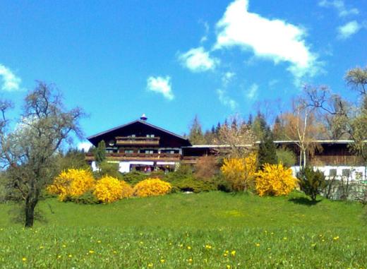Biohof Schwanser, Prenota Agriturismo Steinbach am Attersee 