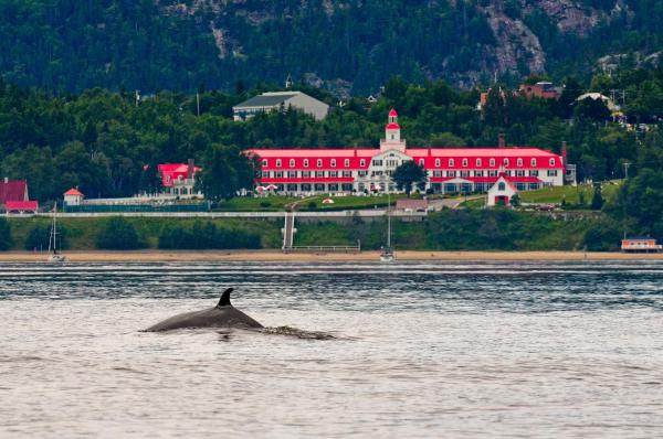 Hotel Tadoussac, Buchen Sie Hotel Hotels in Québec mit Parkplatz, Parkplätze