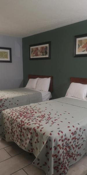 American Value Inn