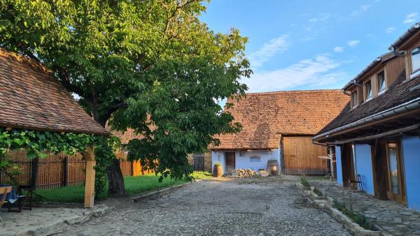 Haus Rether - Transylvanian Guesthouse, Prenota  Bunesti 