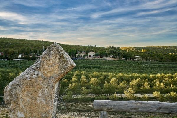 Finca Heredad La Boquilla, Book Hotel Hotels in Valencia Province with a Pool, Swimming Pool