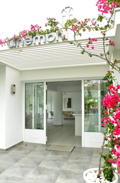Anemoni Beach Hotel, Prenota  Hotel a Sporadi con piscina, Piscina