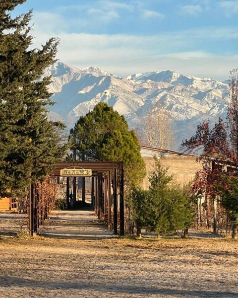 Finca La Valletana, Prenota  Hotel con piscina a Mendoza, Piscina
