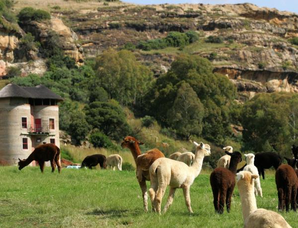 Fairview Estates, Prenota Agriturismo  
