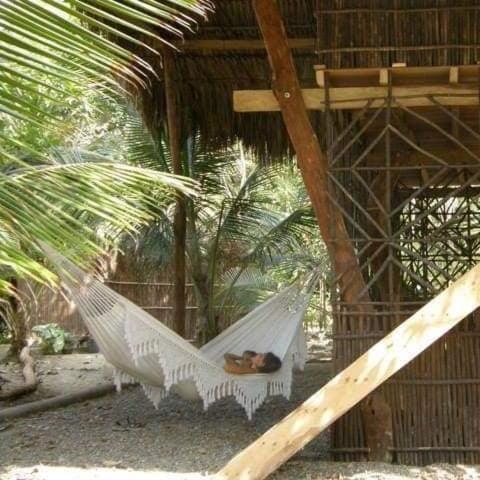 Pajarito Eco-Lodge frente al mar, Book  Cedro Colombia