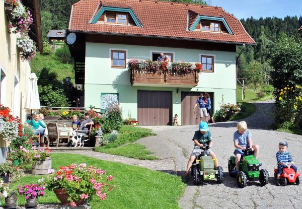 Schlintl-Hof, Prenota Agriturismo Liebenfels Carinzia Centrale