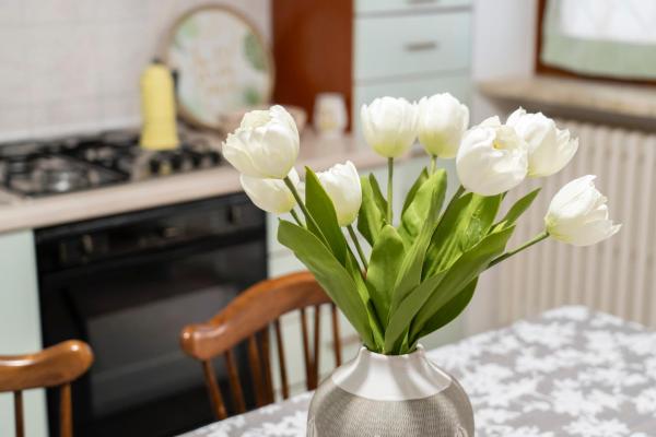 Apulia Rosè, Buchen Sie Ferienwohnung Lecce Salento