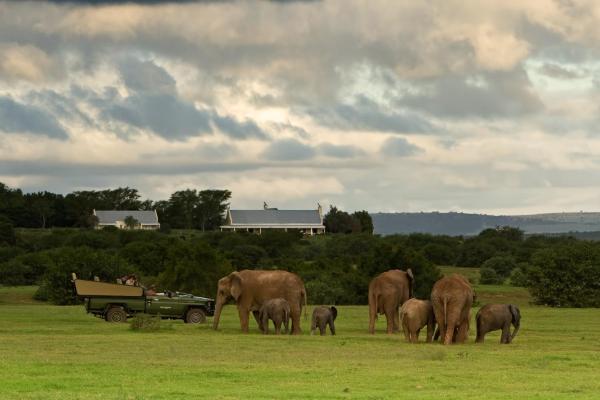 River Bend Lodge, Buchen Sie Lodge Addo 
