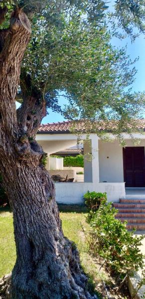 Villa Chicca, Book  Sicily Hotels with a Parking, Parking