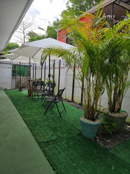 Monkey House, Prenota  Tortuguero Limon