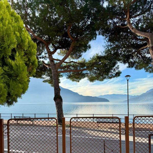 Vista Lago - Lake Como collection, Prenota  Domaso Como