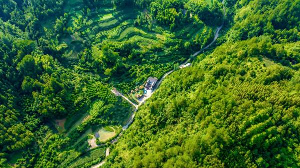 诗和远方·楊家小院, Prenota  Xinglong Hunan
