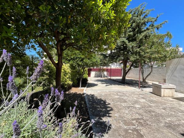 Villa Carmela, Buchen Sie  Bisceglie Apulien
