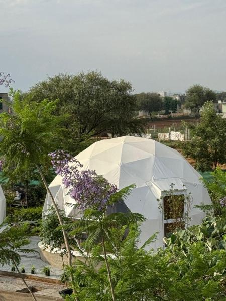 Nature life farm, Prenota  Hotel a Rajasthan con piscina, Piscina