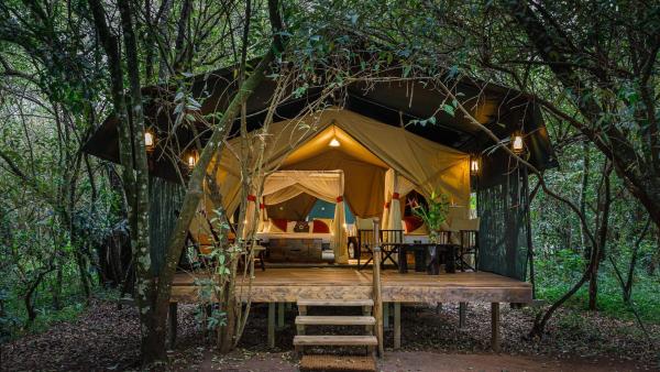 Soroi Mara Bush Camp, Reserva ahora  Talek Reserva Natural Maasai Mara