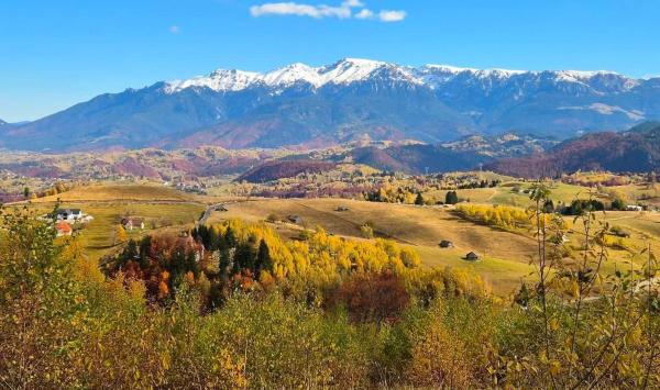 Glamping ZAZEN, Réserver Camping Terrains de Camping à Prahova Valley, Camping