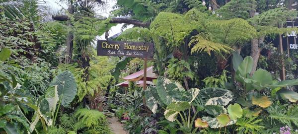 Cherry HomeStay & coffee, Buchen Sie  Hotels mit Pool in Dak Lak, Schwimmbad