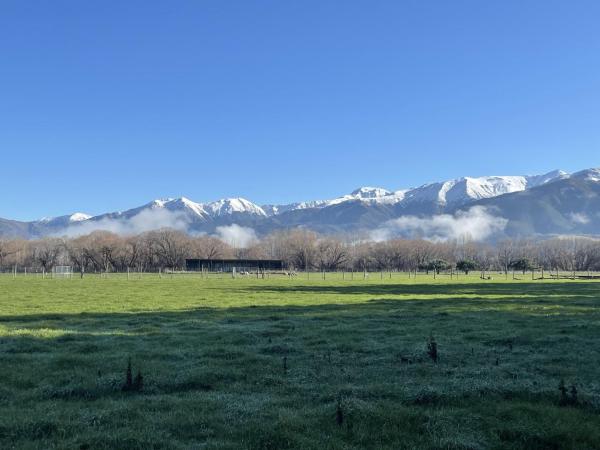 Birdsong Alley Bed and Breakfast, Buchen Sie  Hanmer Springs 