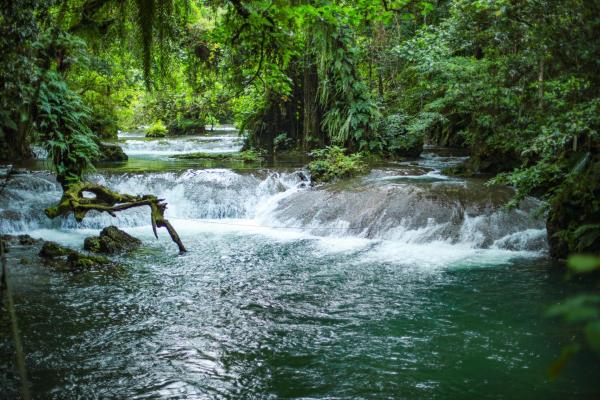 Stay at Eden on the River, Buchen Sie  Port Vila Efate