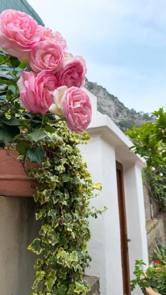 Il Cigno B&B, Buchen Sie  Capri Capri
