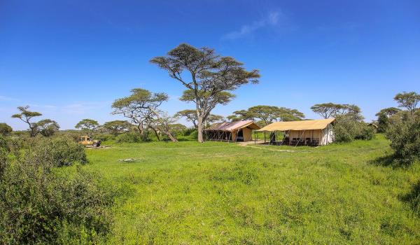 Serengeti Savannah Camps, Buchen Sie  Soronera Tansania