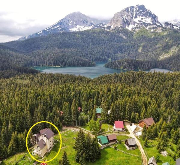 Apartment Durmitor, Prenota Appartamento Zabljak Zabljak County