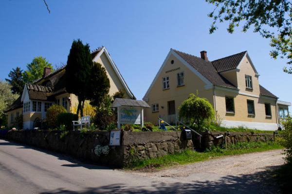 Bakkegaard Møns Klint