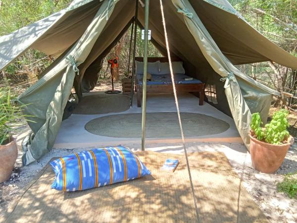 The Shamba, Reserva ahora  Kilifi 
