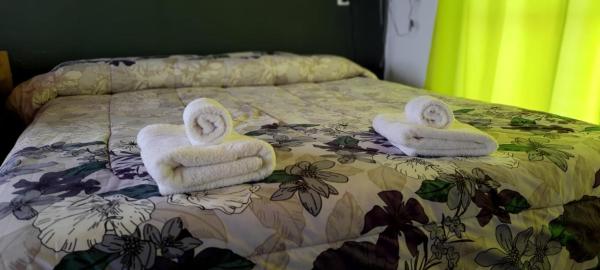 Cabañas Loft Alma Viajera - San Rafael, Prenota  Hotel con piscina a Mendoza, Piscina