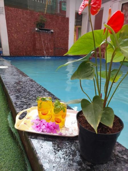 Hotel Queen Queen Sea, Reserva ahora  Hoteles con piscina en Goa, Piscina