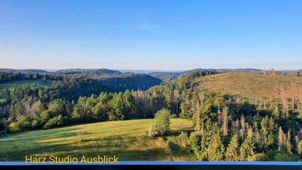 Modernes Harz Studio Apartment Ferienwohnung über den Baumspitzen, Réserver Appartement Hôtels à Braunlage Ski avec piscine, Piscine