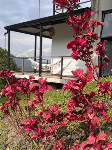 Cabañas Alondra, Reserva ahora  Vergara Cundinamarca
