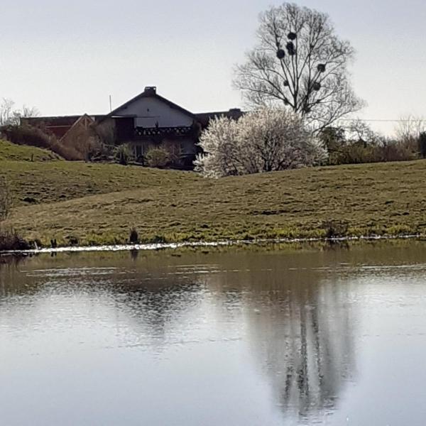 Marcinowa Zagroda, Buchen Sie  Nowe Kawkowo Ermland-Masuren