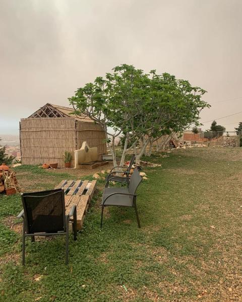 Animal Service Center, Prenota  Nador Oriental