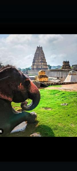 Jai Shivray, Réserver  Hampi Karnataka