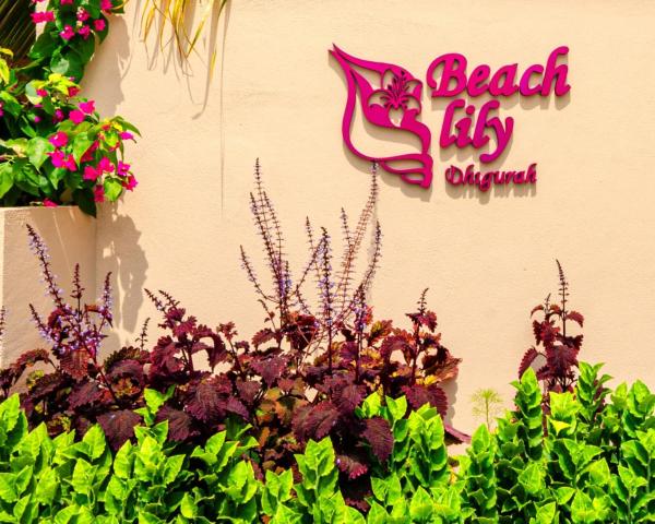Beach Lily Dhigurah, Buchen Sie  Dhigurah Ari-Atoll