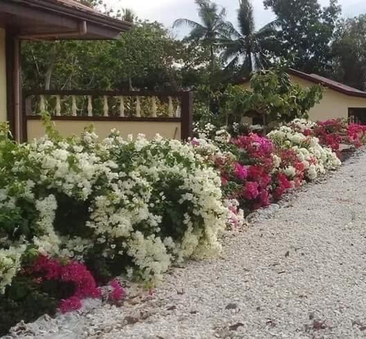 Garden INN, Reserva ahora  Hoteles baratos en Cebu