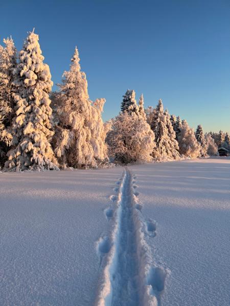 Villa Metsälä, Réserver  Hôtels à North Ostrobothnia avec parking, Parking