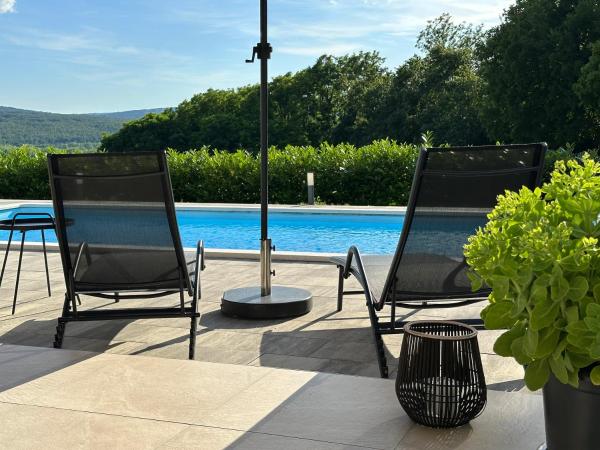 Villa Olealis, Reserva ahora  Hoteles en Istria central con piscina, Piscina