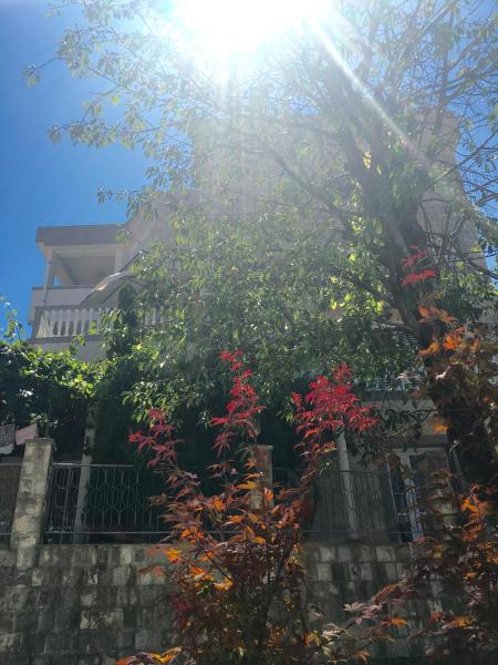Apartments Popović, Book Apartment Budva 