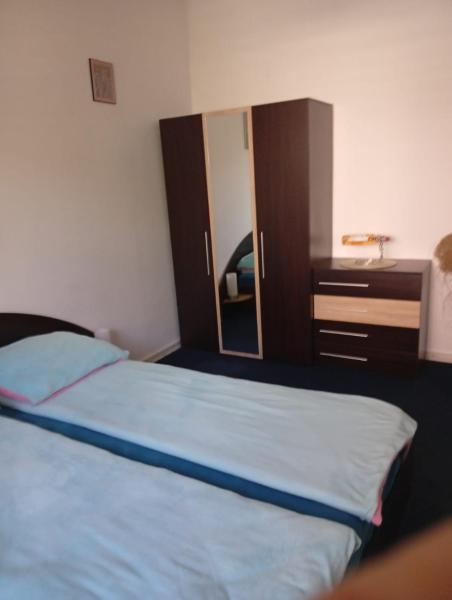 Garsoniera la casa Elena, Réserver  Timişoara Timiş
