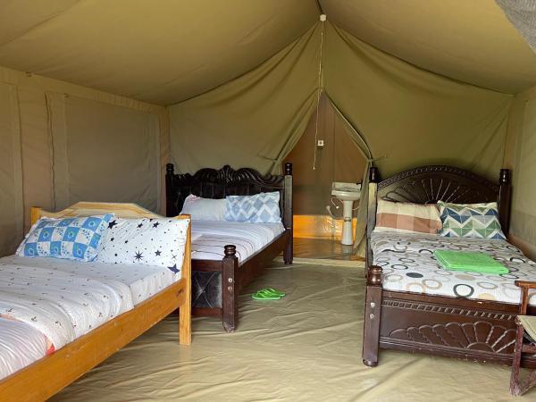 Mara Sidain safaris, Buchen Sie  Sekenani Masai Mara