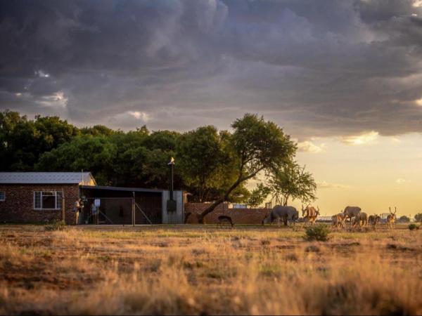 Anna Africa Guest House, Prenota  Bloemfontein Free State