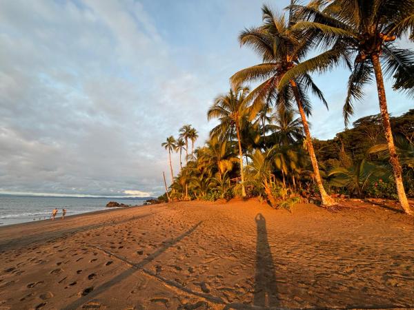 Jenené Lodge Nuquí, Reserva ahora  Nuquí Chocó