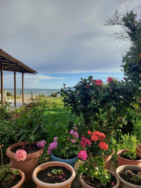Villa Apostolos, Prenota   