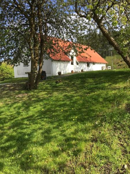 Vacation home on the Half island Helgenæs, Prenota  Knebel 