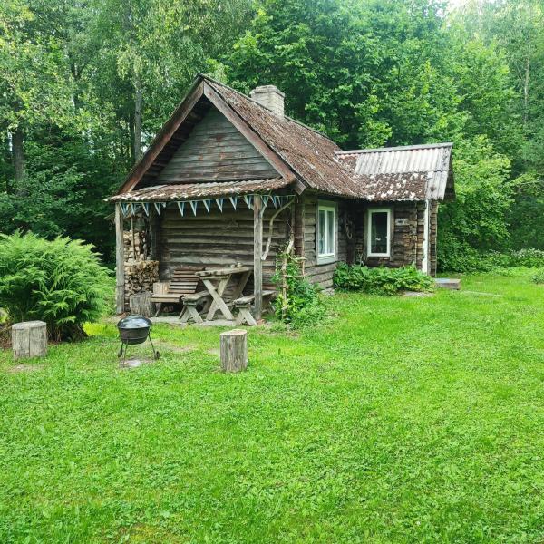 Tiny Cozy House, Buchen Sie   